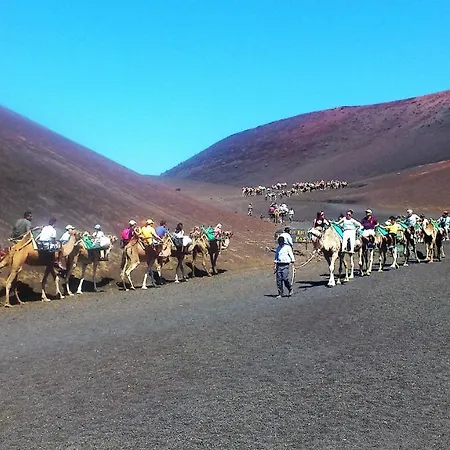 Апартаменты Sara 4 *